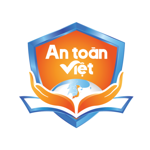 Cùng Học Toán Tư Duy với An Toàn Việt Nhé